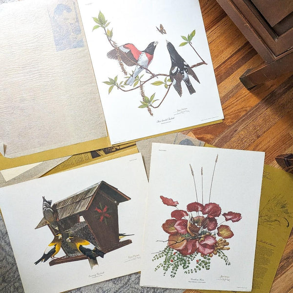 Set of 3 Large Artist Signed Ray Harm Botanical Bird Art Prints