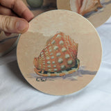 Set of 4 Vintage Ceramic Shell Circular Art