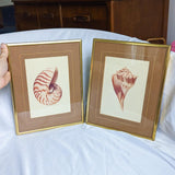 Pair of MCM Style Vintage Gold Framed Sea Shell Art Prints