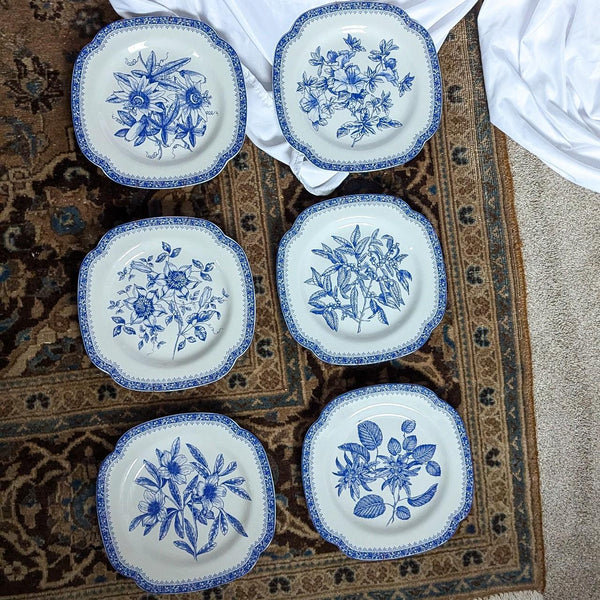 Set of 6 Vintage Blue and White Spode Blue Room Collection Floral Plates