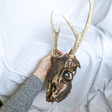 Genuine Decorative Hanging Painted Deer Skull with Antlers