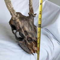 Genuine Decorative Hanging Painted Deer Skull with Antlers