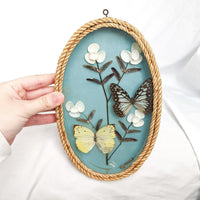 Framed Oval Butterfly Taxidermy Art
