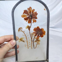 Arch Glass Vintage Pressed Flower Wall Art